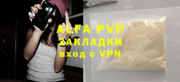 амф Новозыбков