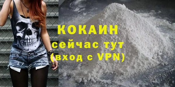 амф Новозыбков