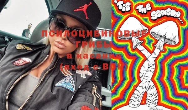 амф Новозыбков