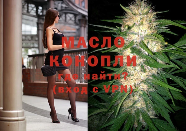 амф Новозыбков